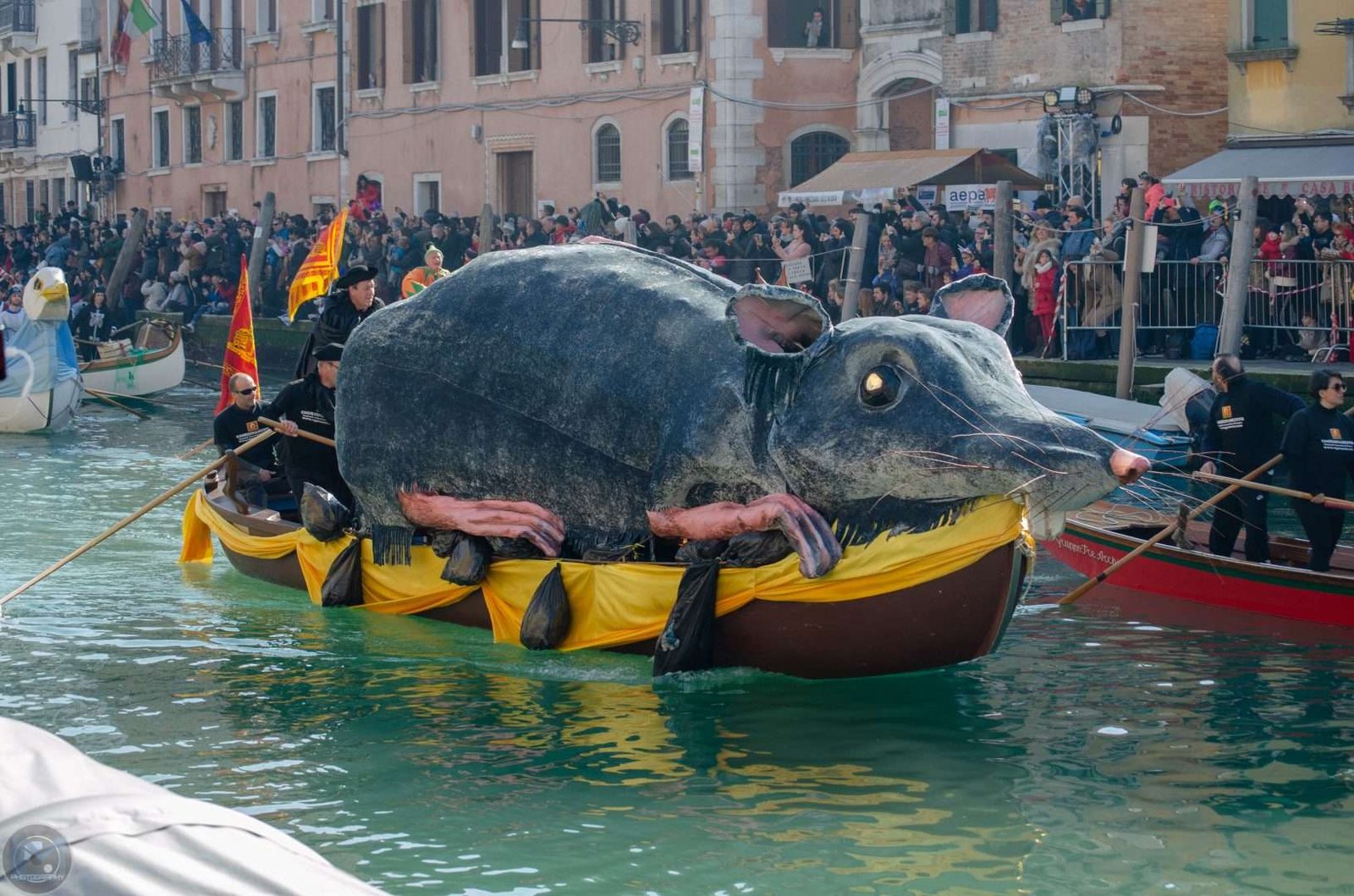 Regata Di Carnevale 2019 3